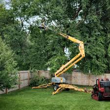 Best Tree and Shrub Care  in North Yelm, WA