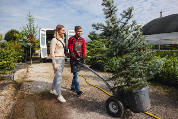 Best Lawn Watering Services  in North Yelm, WA